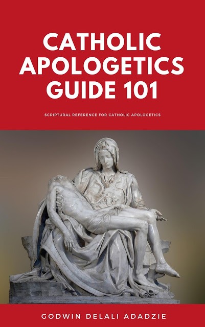 Catholic Apologetics Guide 101 book cover